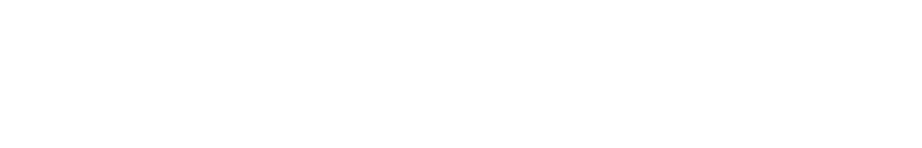 Optio IS logo
