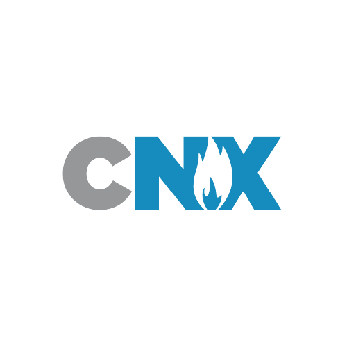 logo_cnx